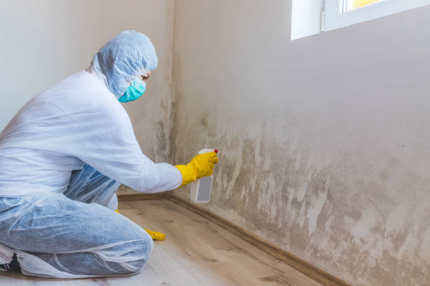 Mold inspector in Netcong performing thermal imaging